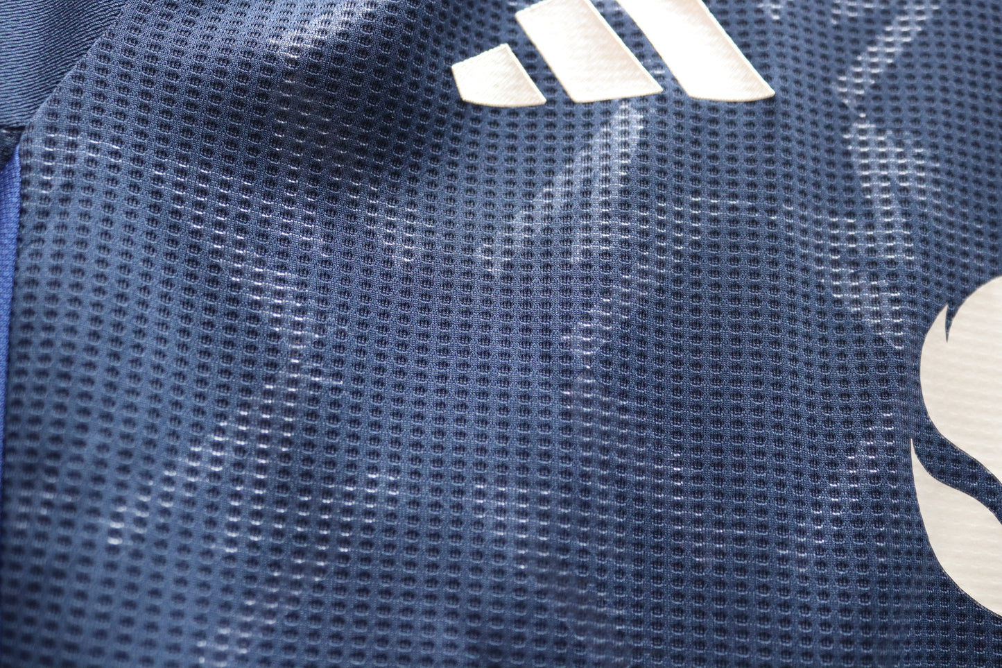 Manchester United Away - 2024/25 - Player Spec - (Multiple Sizes)