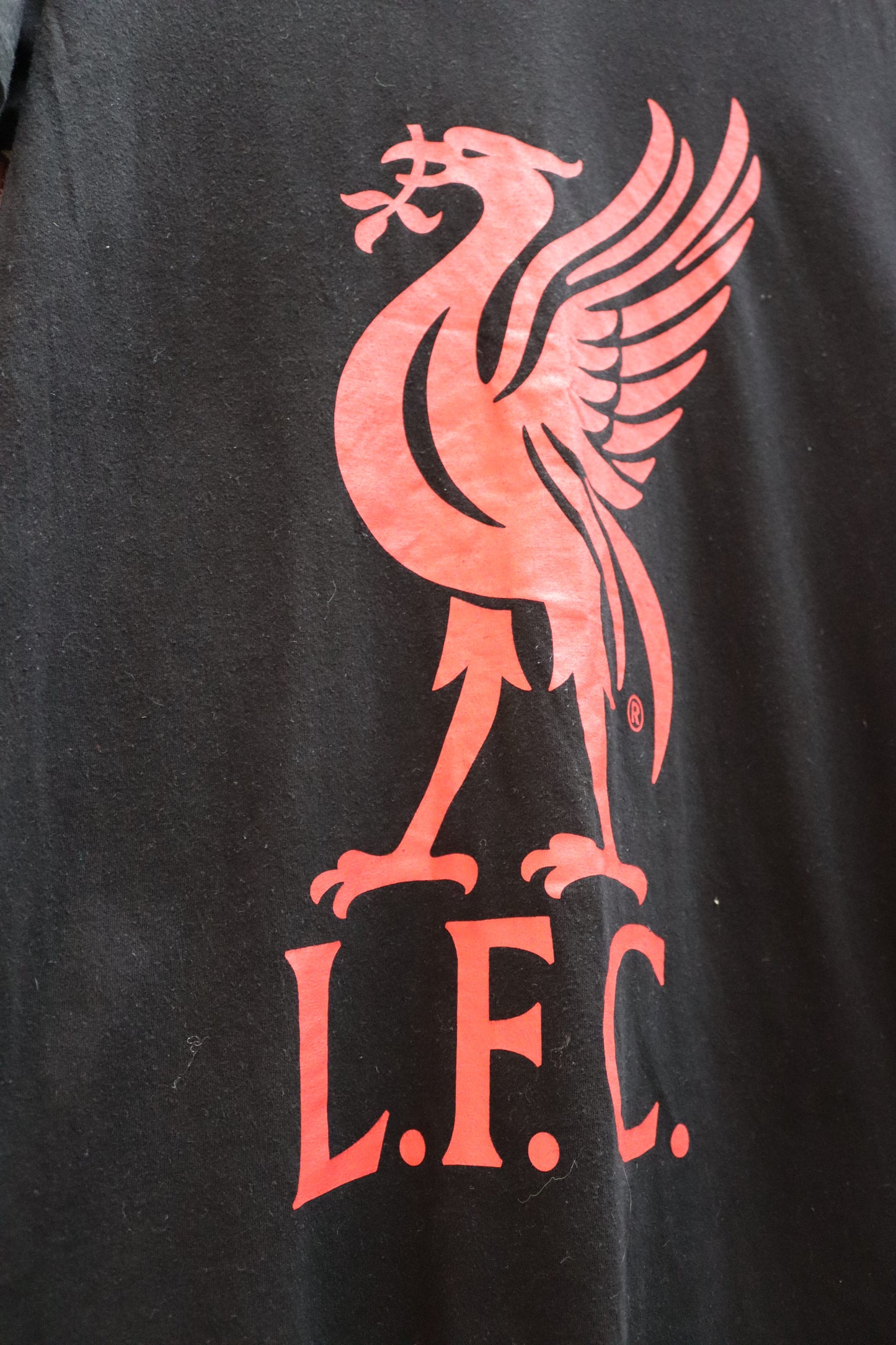 Liverpool T-Shirt 2025