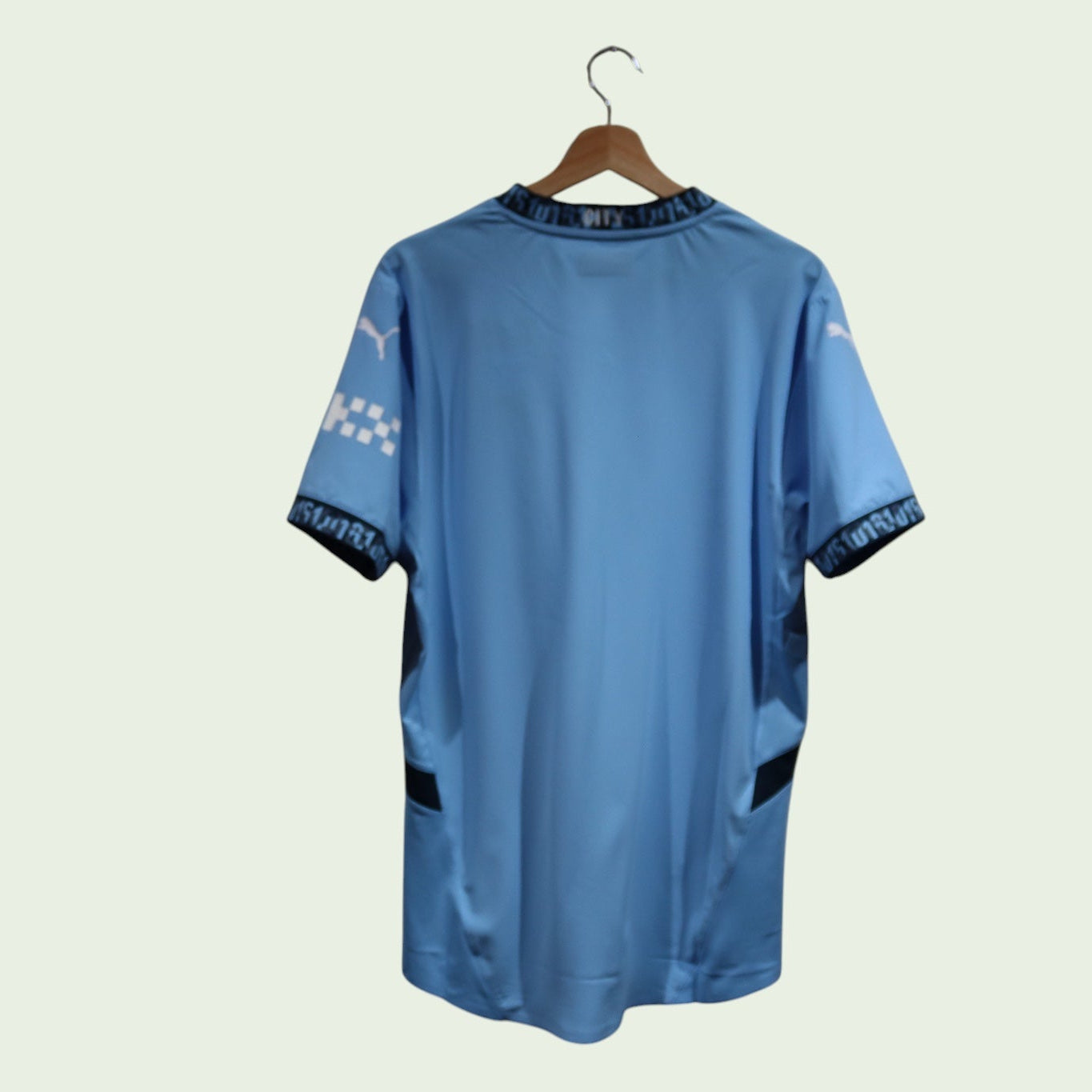 Manchester City Home Player Spec - 2024/25 - (L)
