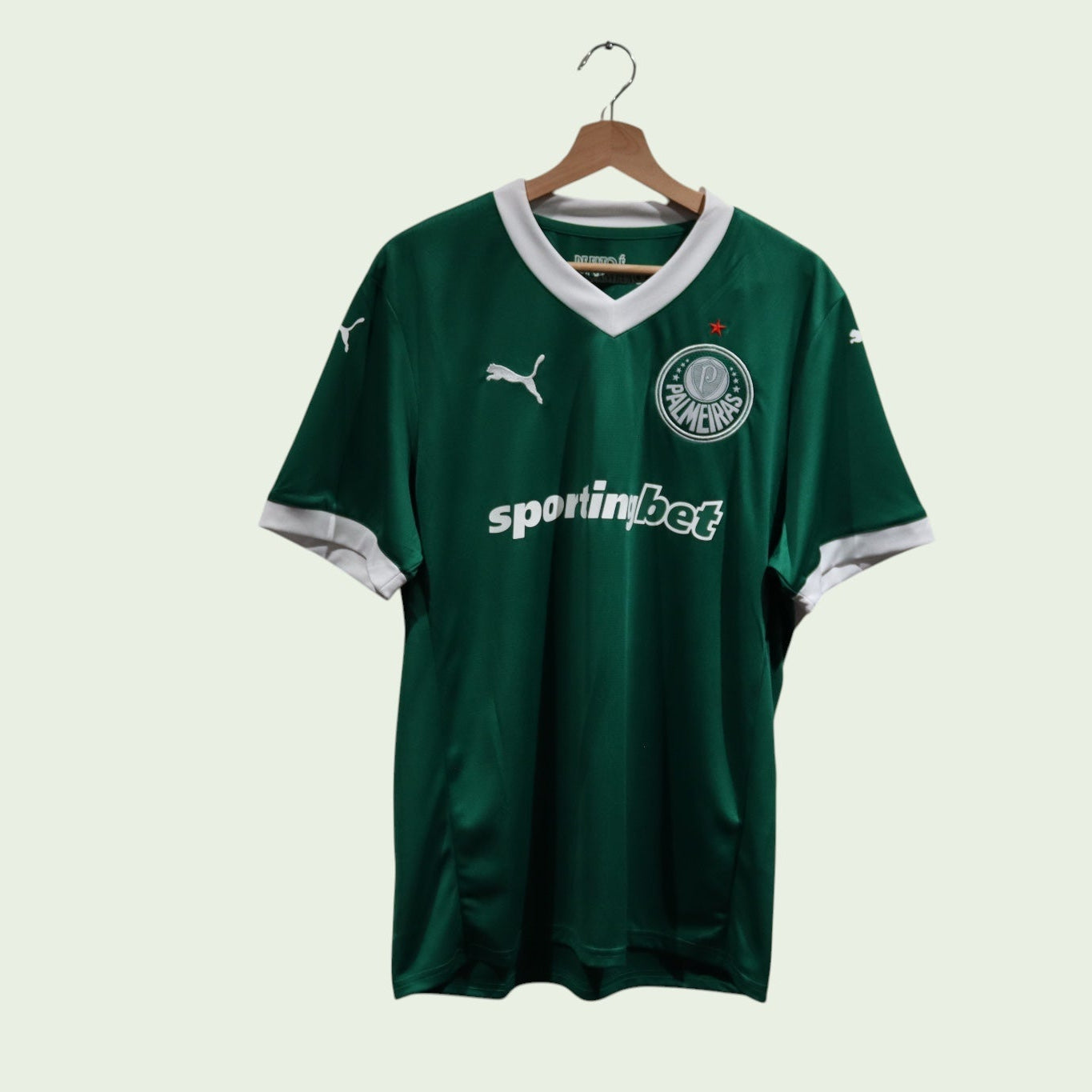 Palmeiras Home - 2025 - (L)
