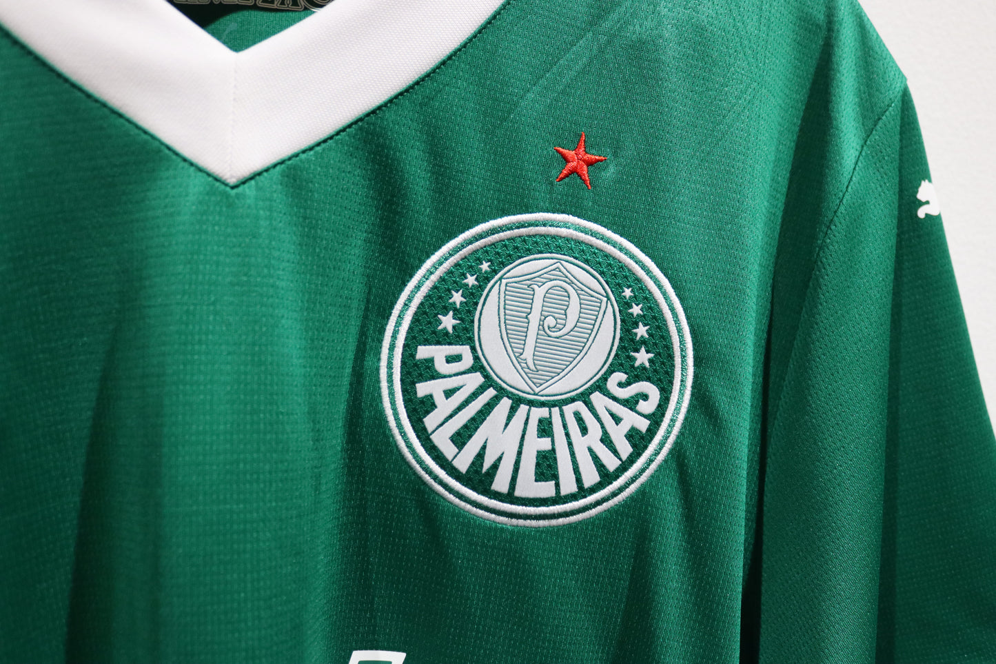 Palmeiras Home - 2025 - (L)
