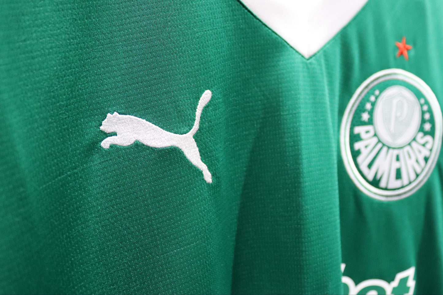 Palmeiras Home - 2025 - (L)