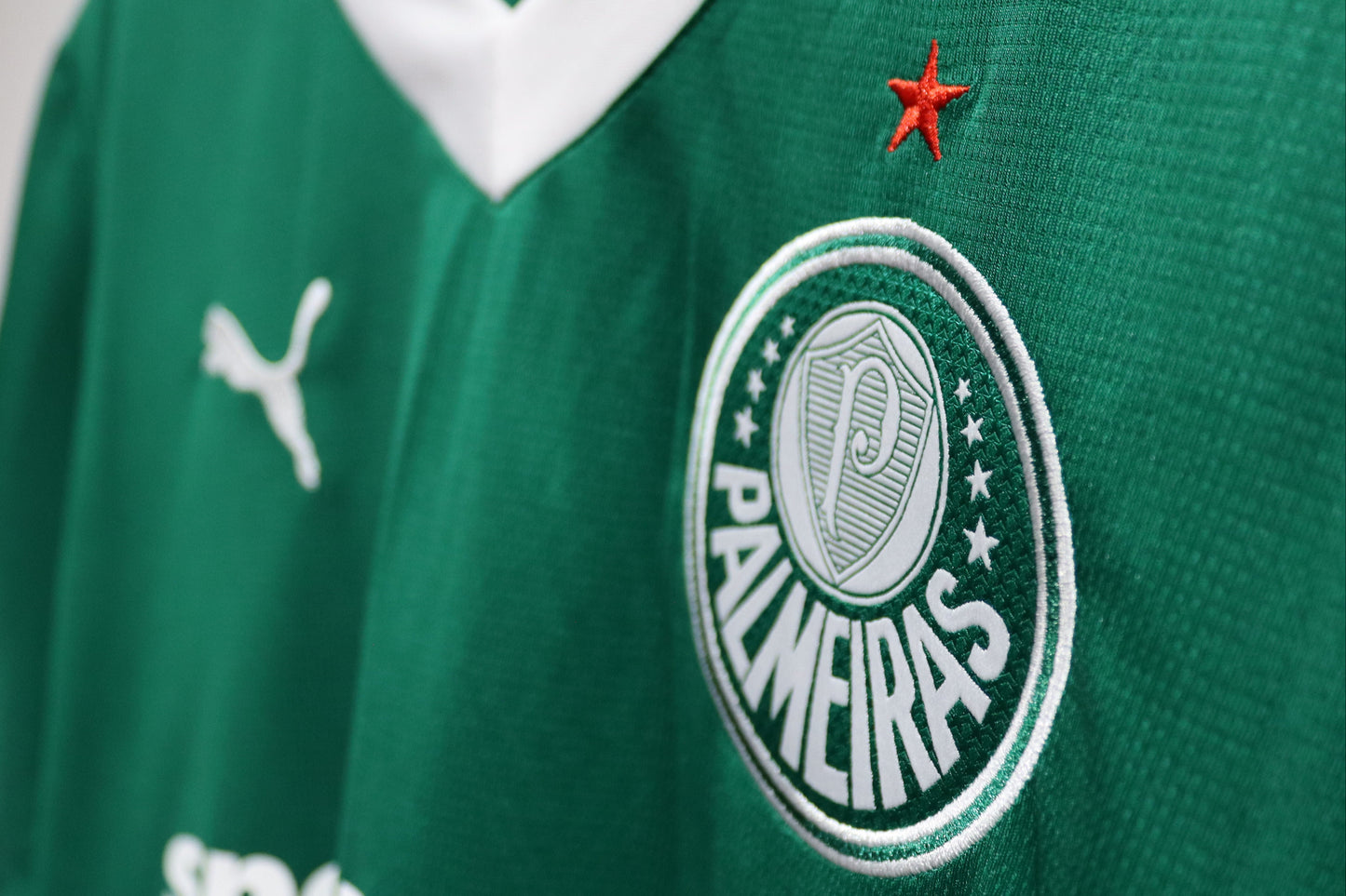 Palmeiras Home - 2025 - (L)