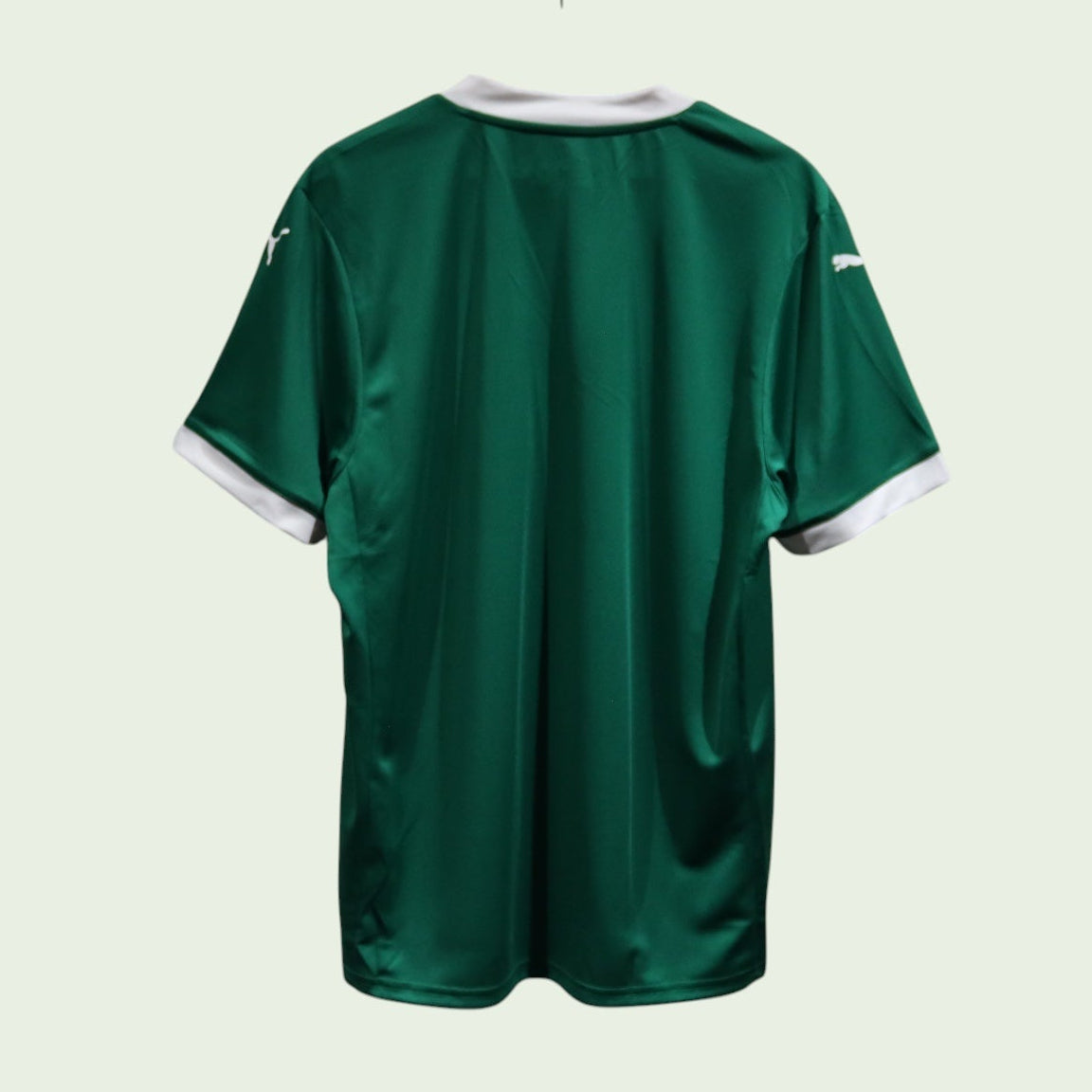 Palmeiras Home - 2025 - (L)